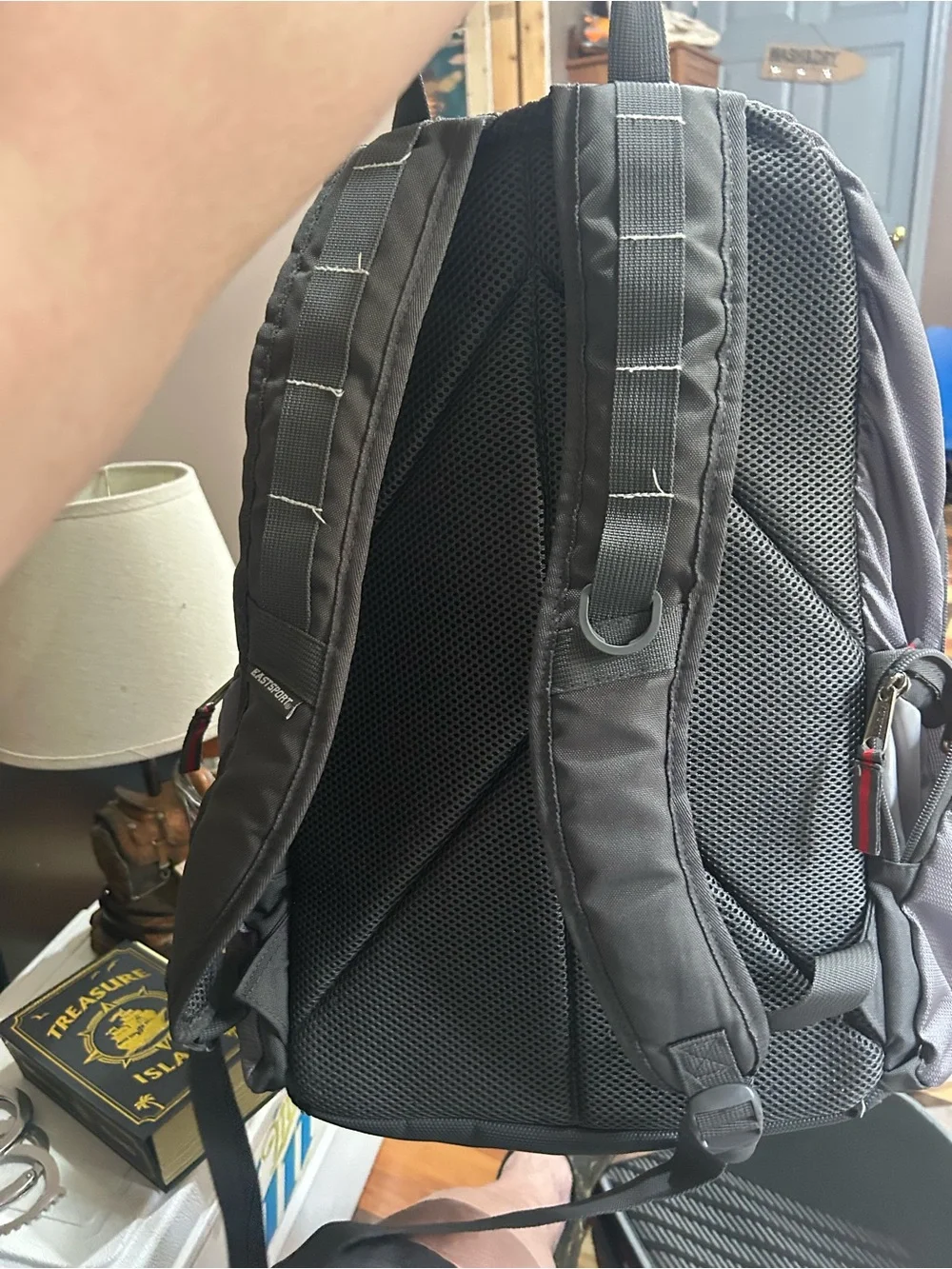Eastsport Gray and Red Men's Travel Backpack
